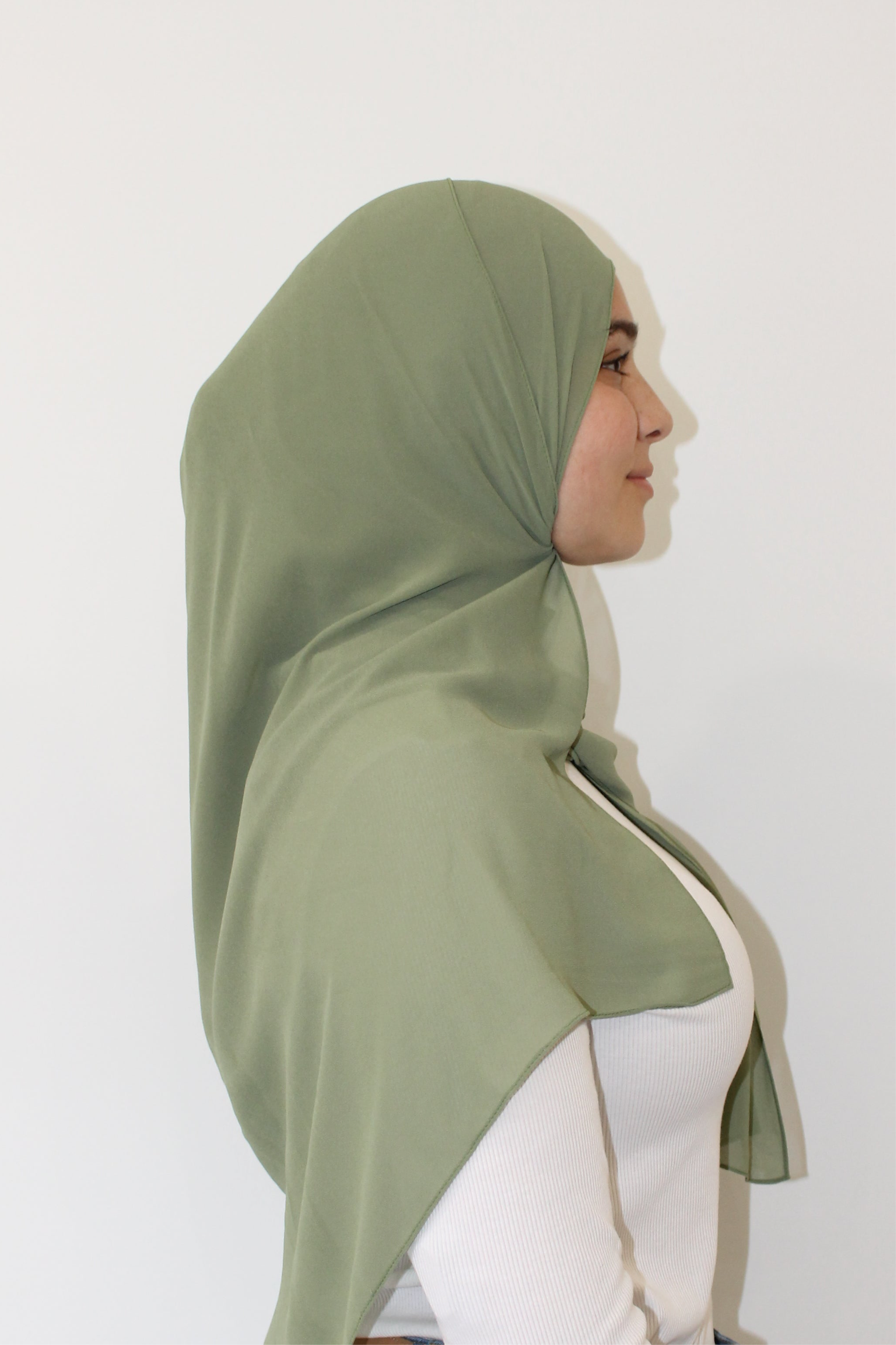 Pistachio Chiffon Set